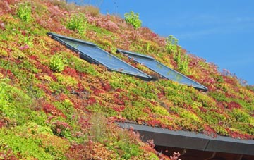 Heanor Gate living roof systems