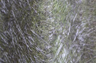 Heanor Gate fibreglass roof work